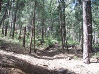 Maverick Mountain