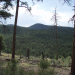 Bear Mountain - Blue range Bear Mountain - Blue range