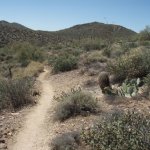 Go John Trail