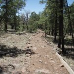 Gaddes Spring Trail #110 Gaddes Spring Trail #110