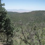 Gaddes Spring Trail #110 Gaddes Spring Trail #110