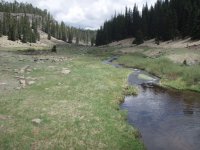 Thompson Trail #629