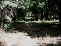 Houston Brothers Trail #171