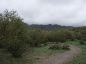 Quartz Trail Quartz Trail
