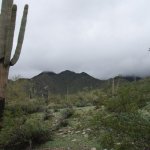 Quartz Trail Quartz Trail