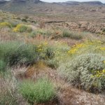 Apache Trail Canyon Apache Trail Canyon