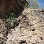 Apache Trail Canyon Apache Trail Canyon
