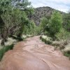 Red Creek Red Creek