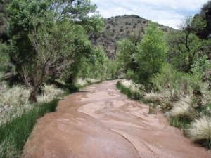 Red Creek Red Creek