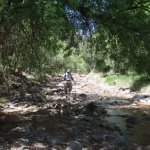 Red Creek Red Creek