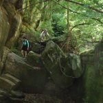 Bear Canyon