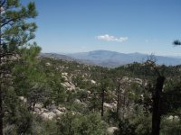 Mount Lemmon Trail Mount Lemmon Trail