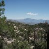 Mount Lemmon Trail Mount Lemmon Trail