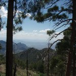 Mount Lemmon Trail