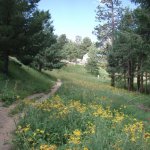 Mount Lemmon Trail