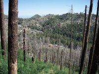 Wilderness of Rock (via the Mint Spring trail) Wilderness of Rock (via the Mint Spring trail)