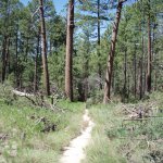 Wilderness of Rock (via the Mint Spring trail) Wilderness of Rock (via the Mint Spring trail)