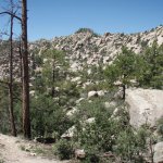 Wilderness of Rock (via the Mint Spring trail) Wilderness of Rock (via the Mint Spring trail)