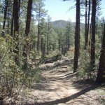 Goldwater Lake Trail #396 Goldwater Lake Trail #396