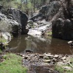 Goldwater Lake Trail #396 Goldwater Lake Trail #396