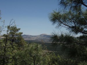 Land of the Pioneers #629 Land of the Pioneers #629