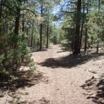 Land of the Pioneers #629 Land of the Pioneers #629