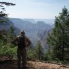 Widforss Trail Widforss Trail