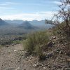 San Tan Regional Park - Out and Back to the Graves San Tan Regional Park - Out and Back to the Graves