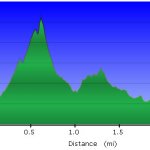 Shadow Mountain (Circumference Trail and Summit Trail) Shadow Mountain (Circumference Trail and Summit Trail)