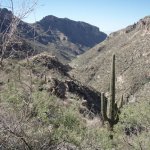 Hutch's Pool (via Sabino Canyon Trail)