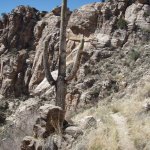 Seven Falls (via Bear Canyon Trail)