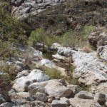 Seven Falls (via Bear Canyon Trail)