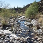 Seven Falls (via Bear Canyon Trail)