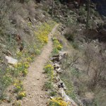 Sabino Canyon to Bear Canyon loop