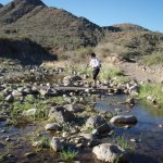 Metate-Spur Cross Loop (Spur Cross)