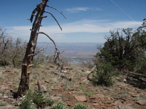 Coleman Trail #108 Coleman Trail #108