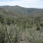 Coleman Trail #108 Coleman Trail #108