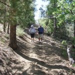 Watershed trail to Sevenmile Gulch trail Watershed trail to Sevenmile Gulch trail