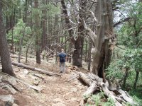 Donahue Trail
