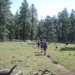 Los Burros Trail #631 Los Burros Trail #631