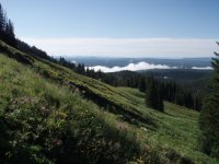 Mount Washburn (Yellowstone National Park) Mount Washburn (Yellowstone National Park)