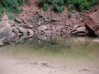 Emerald Pools (Zion National Park) Emerald Pools (Zion National Park)