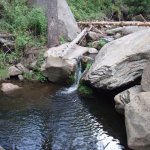 East Webber Creek East Webber Creek