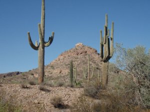 San Tan Regional Park - Malpais Trail loop