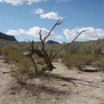 San Tan Regional Park - Malpais Trail loop