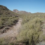 Walkin' Jim Trail