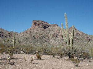Walkin' Jim Trail