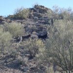 Walkin' Jim Trail