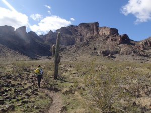 Saddle Mountain trail