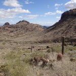 Saddle Mountain trail